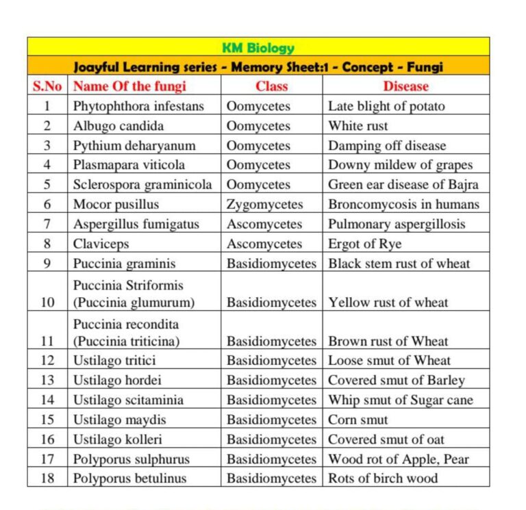 Memory Sheets – KMB Enterprises