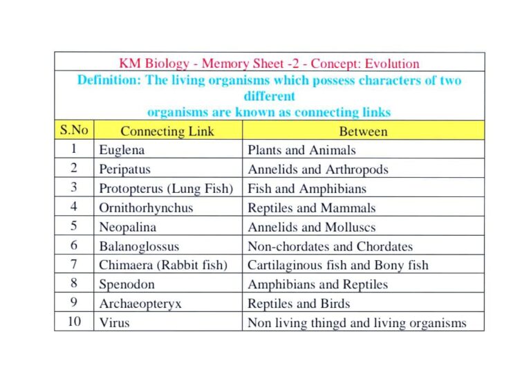 Memory Sheets – KMB Enterprises