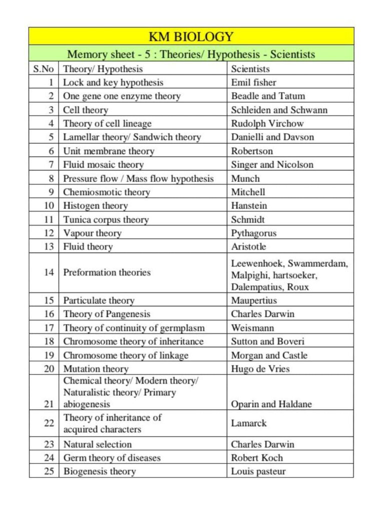 Memory Sheets – KMB Enterprises